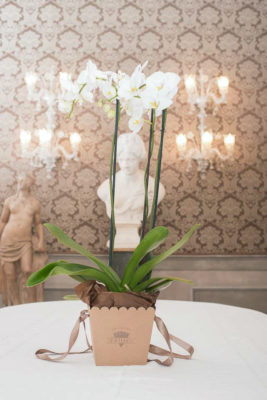 Frida's orchidea in vaso consegna a domicilio con cosaporto.