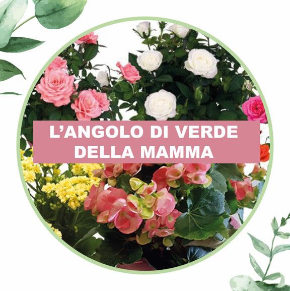 Angolo di Verde della Mamma dv verde cosaporto