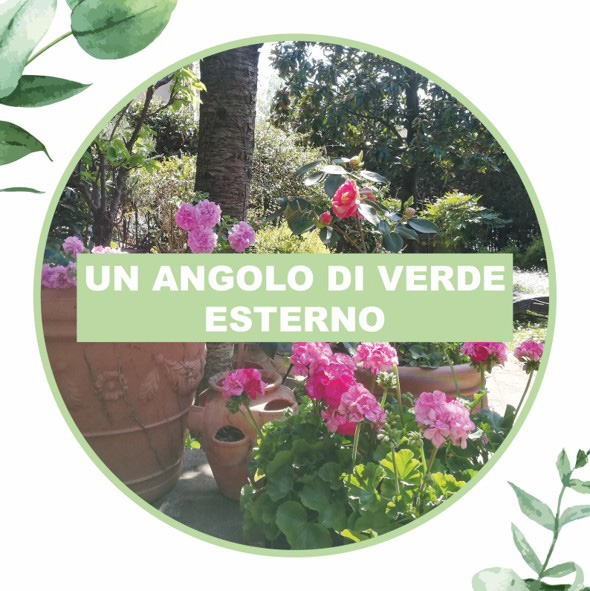 angolo di verde da esterno dv verde e cosaporto