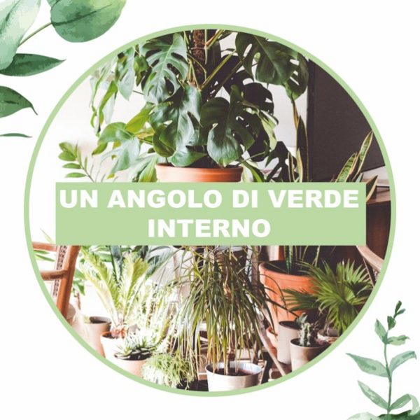 angolo di verde da interno dv verde cosaporto