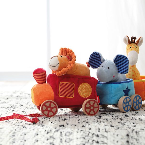 Trenino animali città del sole cosaporto