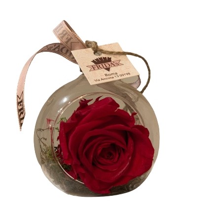 rosa-stabilizzata-in-boule-consegna-domicilio-cosaporto