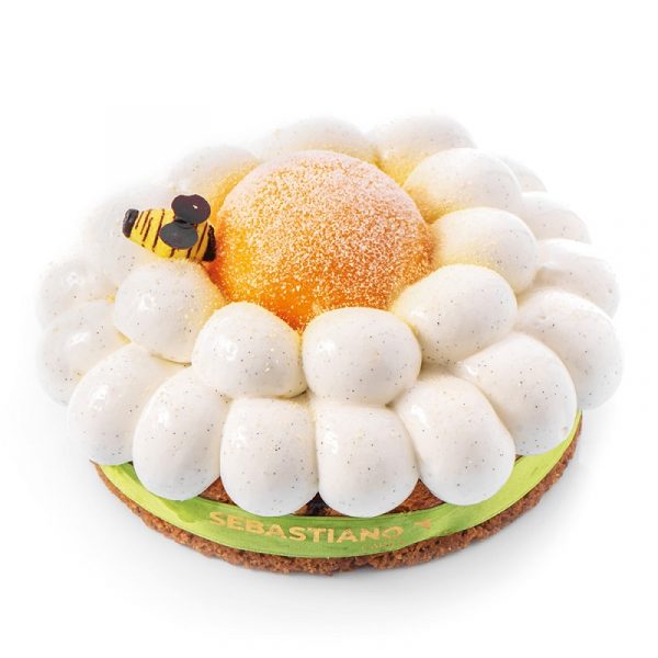 torta-rinascita-consegna-domicilio-cosaporto