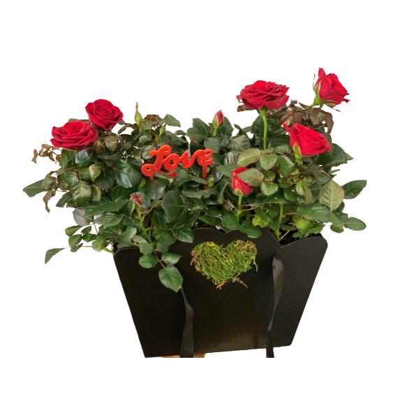 Love Bag di Frida's consegna a domicilio con Cosaporto