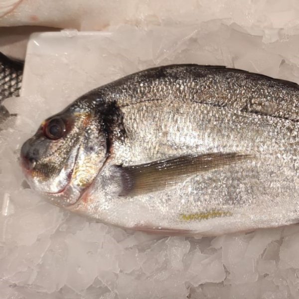 Orata e Branzino a scelta Pesce Baracca consegna a domicilio con Cosaporto