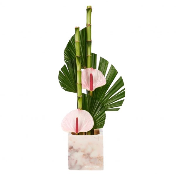 Composizione floreale con chamaerops e anthurium su vaso cubo Armani / Fiori consegna a domicilio con Cosaporto