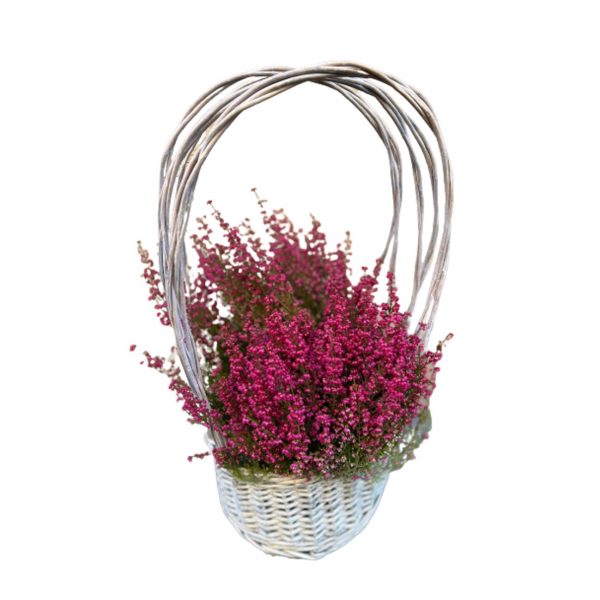 Cesto con Eriche 1