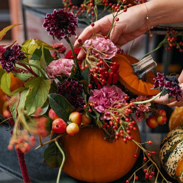 Zucca Luxury Frida's consegna a domicilio con cosaporto