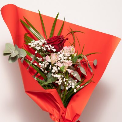 Rosa a gambo lungo Piantala consegna a domicilio con Cosaporto.it