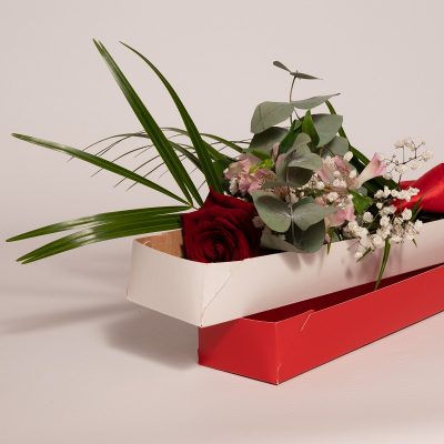 Rosa a gambo lungo in Scatola Piantala consegna a domicilio con Cosaporto.it