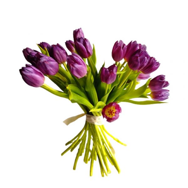 Oh My Tulips! da 10 a 50 fiori di Floralia consegna a domicilio con cosaporto