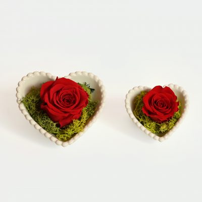 Rosa stabilizzata in cuore - Piantala consegna a domicilio con Cosaporto