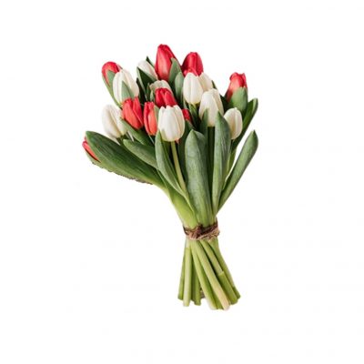 Bouquet Panna e Fragola - Frida's consegna a domicilio con Cosaporto