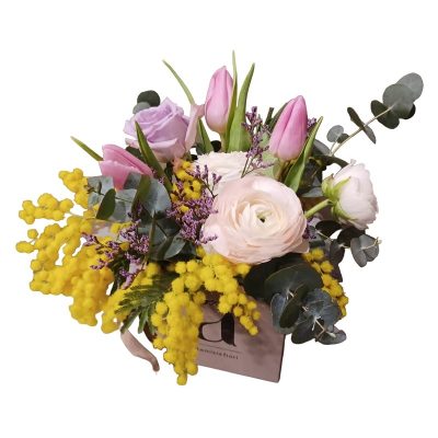 Box Mimosa Artemisia consegna a domicilio con Cosaporto.it