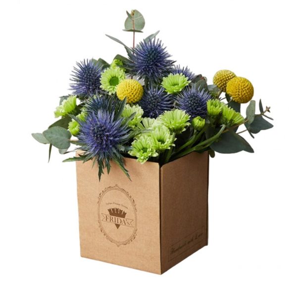 Box Frizzante - Frida's Torino