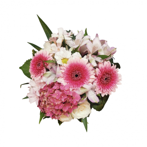 Bouquet Nascita Central Fiori consegna a domicilio con cosaporto