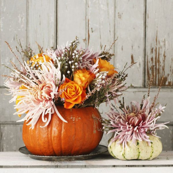 Trick or Treat zucca fiorita